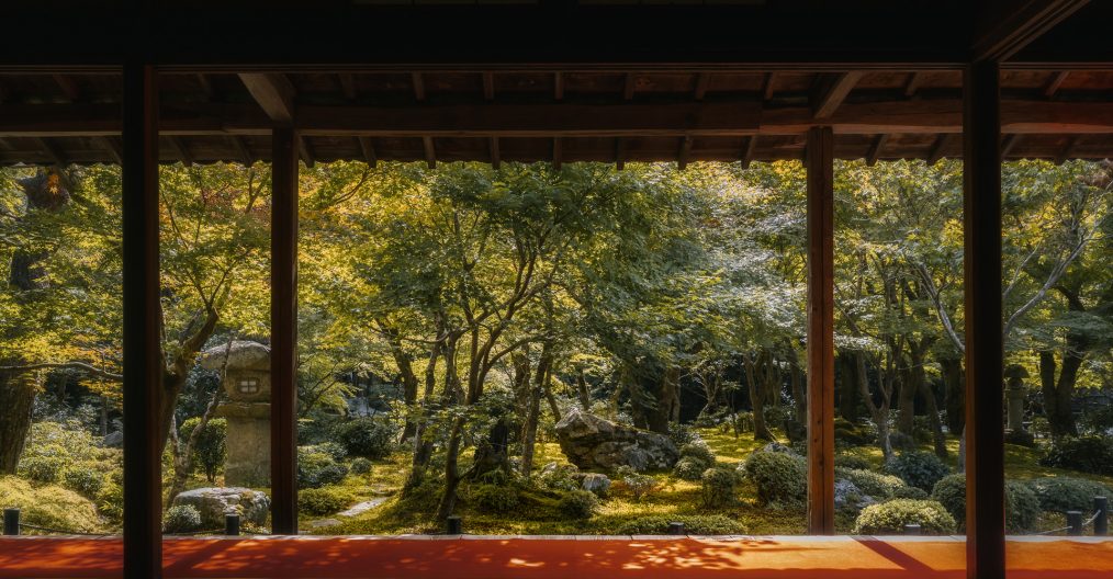 Enkouji Temple Garden View. Experience the peace and serenity of Enko-ji Temple - a hidden gem in Kyoto, Japan.