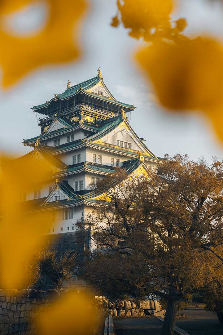 Osaka Castle Yellow Ginko Tree