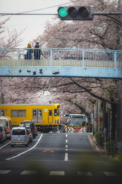 Nakano - Arai 5 Chrome Footbridge