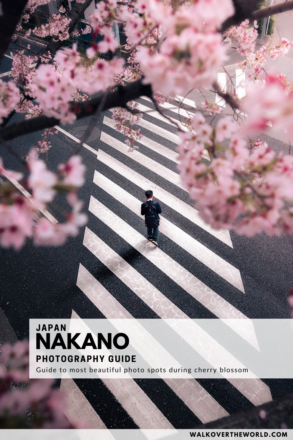 Nakano Photography Guide - Katayamaritsu Bridge