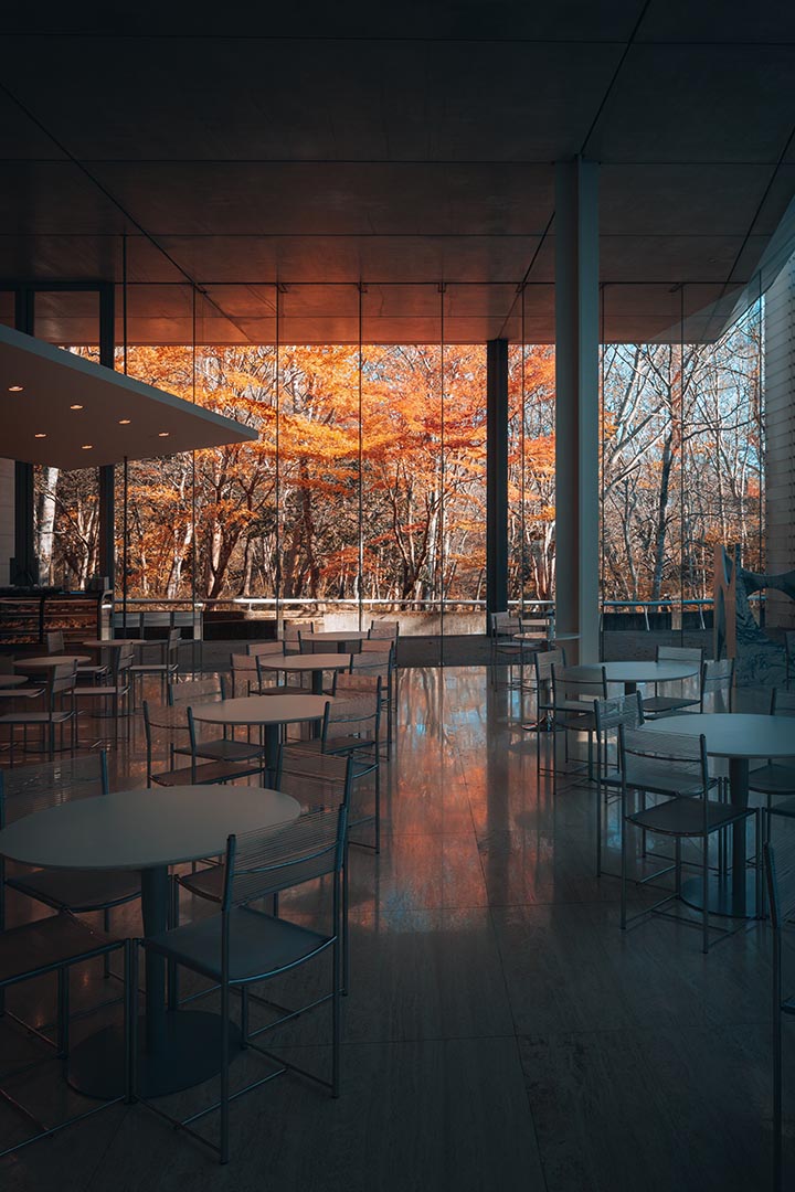 Hakone - Cafe at Pola Museum Of Art at autumn - Japan