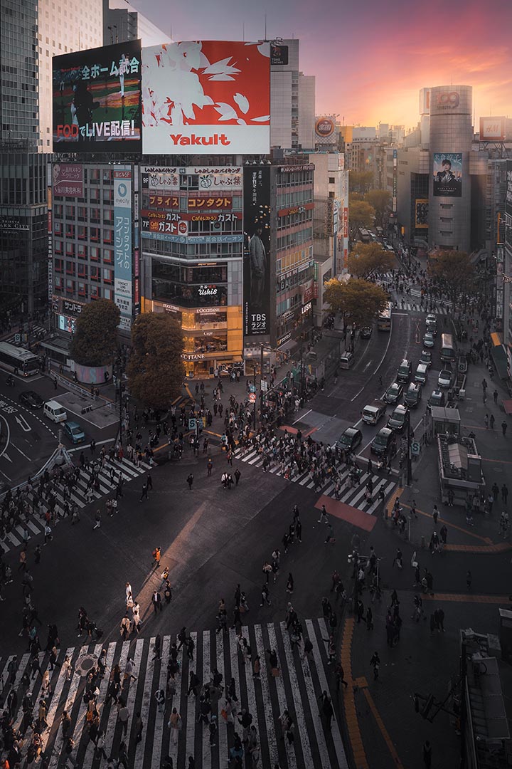 View of Shibuya Crossing scramble in Tokyo Japan from Mags Rooftop at sunset
