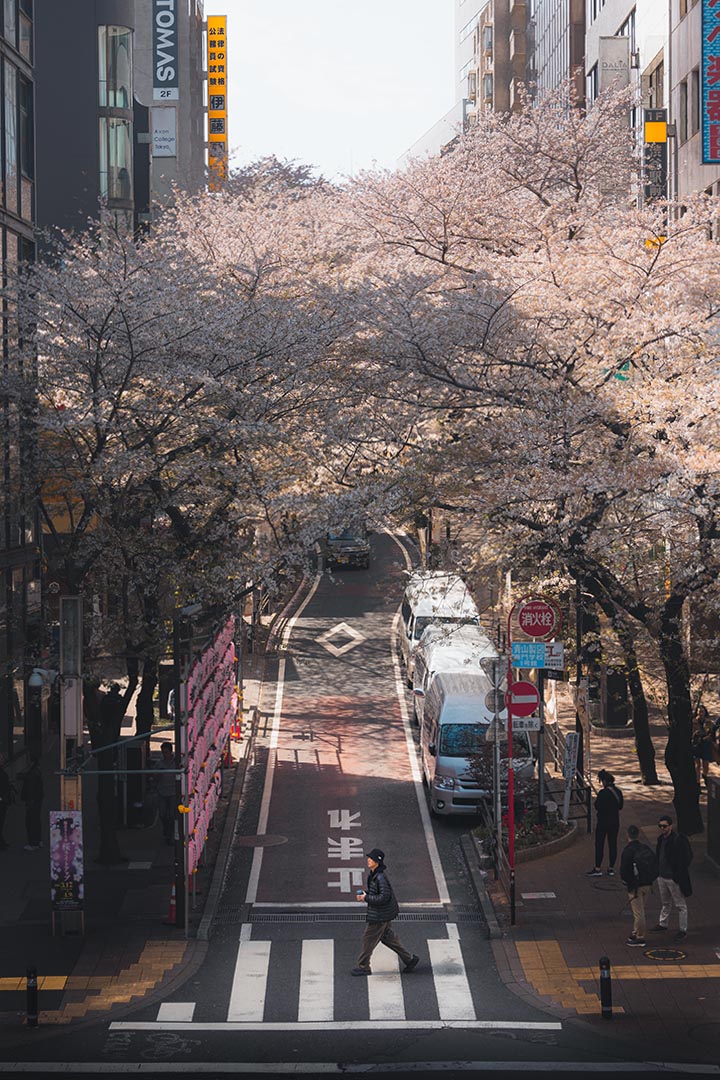 Sakuragaoka (Sakura Street) from bridge view point at Shibuya, Tokio, Japan