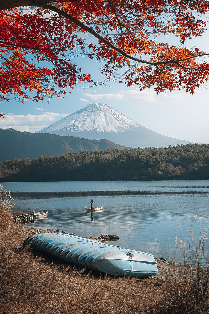 Autumn in Lake Saiko at Mt. Fuji