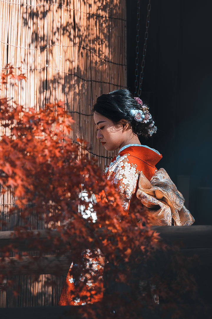 Nara Park - Girl in Kimono