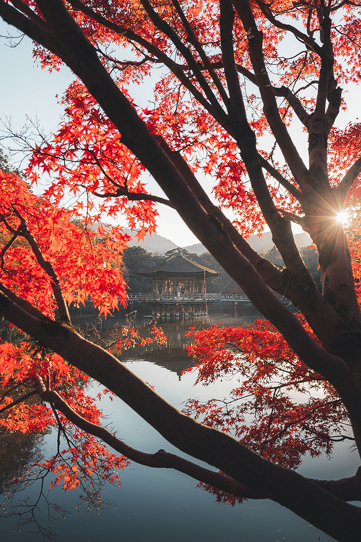 Nara Park Ukimido at Autumn