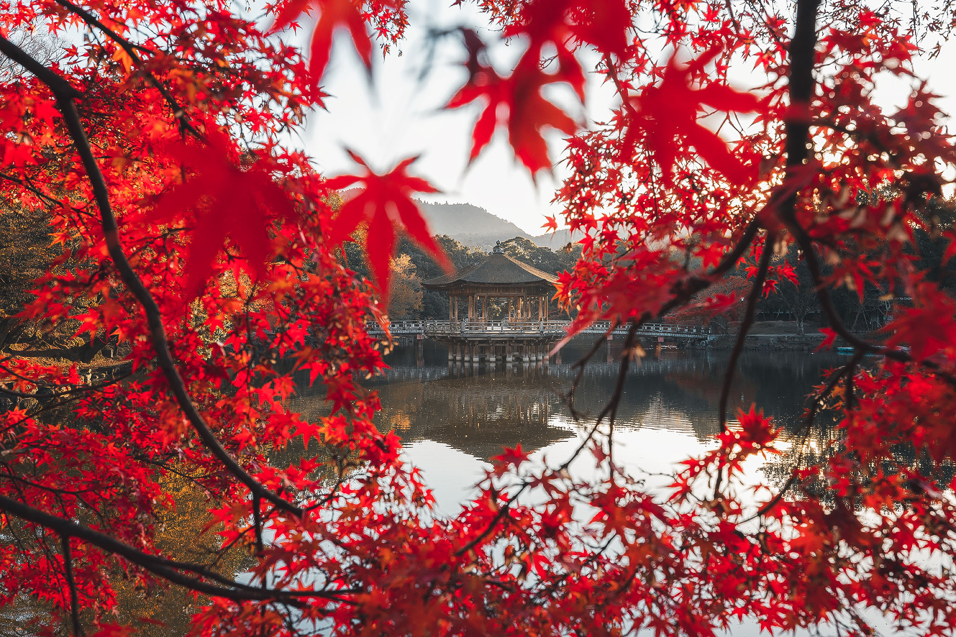 Nara Ukimido At Autumn