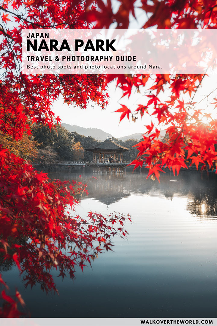 Nara Park Photography Guide to the best photo locations in Nara