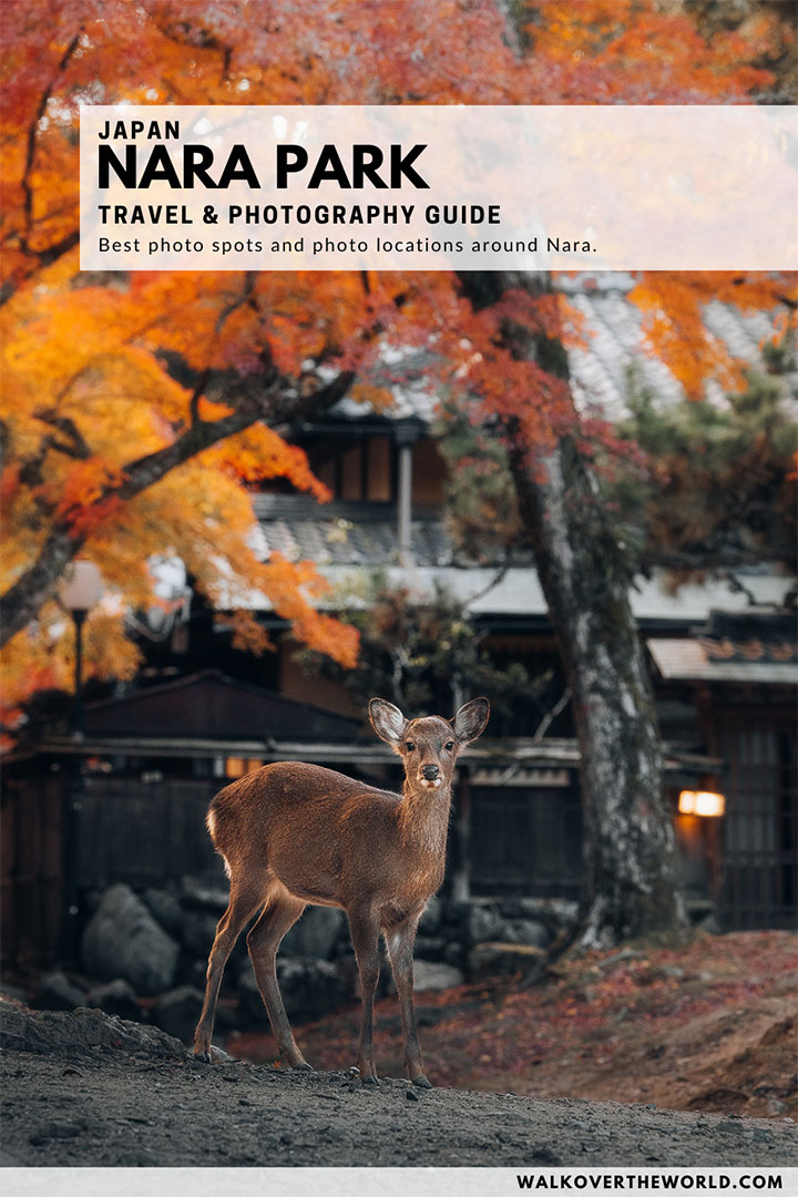 Travel Guide to the best photo and travel spots in Nara park
