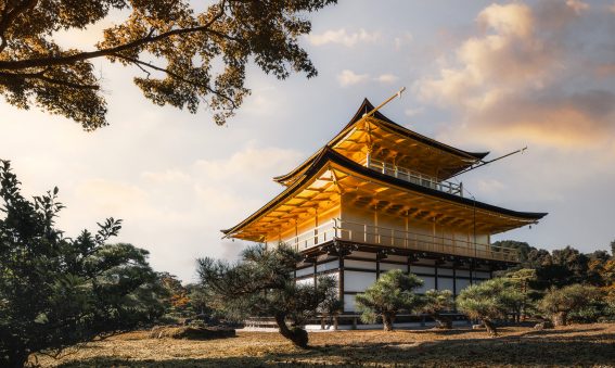 Experience the beauty and serenity of Kinkaku-ji - the Golden Pavilion in Kyoto, Japan