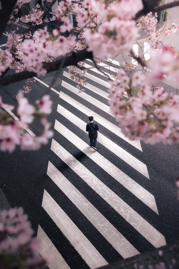 Nakano in Tokyo during Sakura season