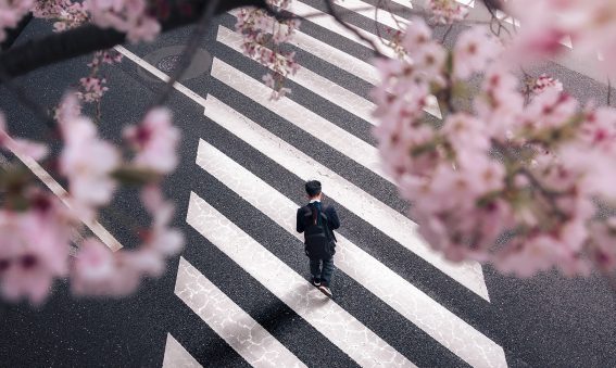 Nakano at Sakura from the Katayamaritsu Bridge