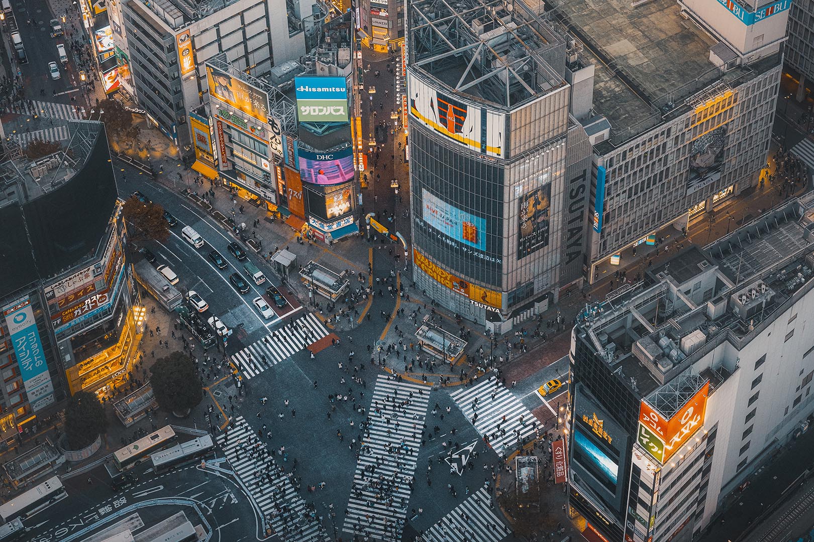 View on Shibuya Crossing from Shibuya Sky, Tokyo, Japan